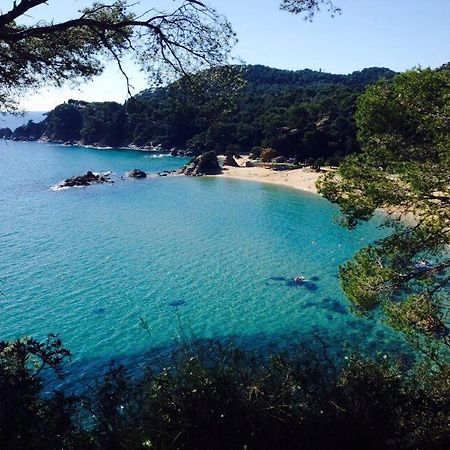 Appartements Les Pesquiers 2 Hyeres Plage Eksteriør billede