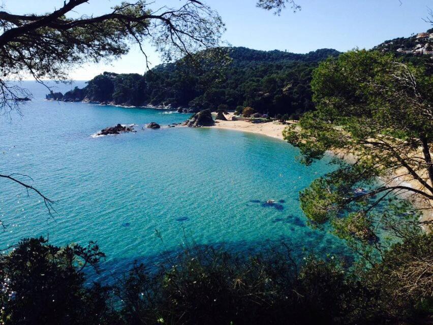 Appartements Les Pesquiers 2 Hyeres Plage Eksteriør billede
